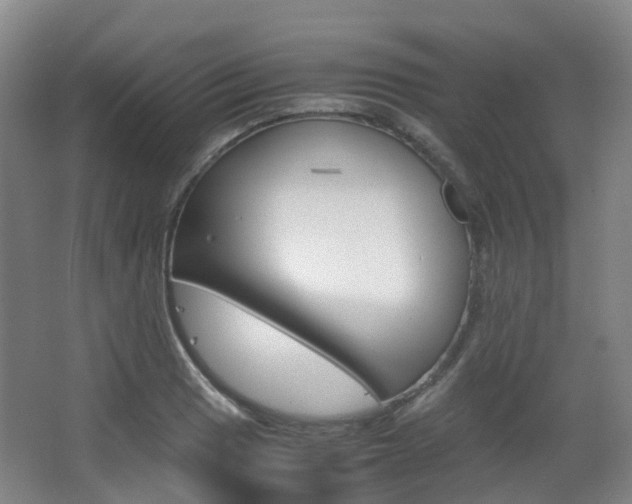 X0000063441033200601200923