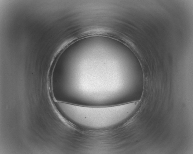 X0000063441034200601200923