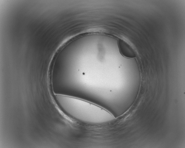 X0000063441037200601200923