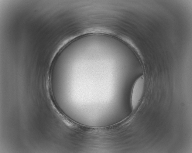X0000063441040200601200923
