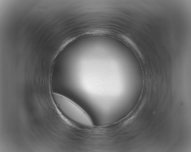 X0000063441041200601200923
