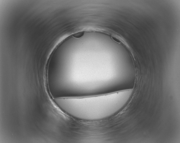 X0000063441048200601200923