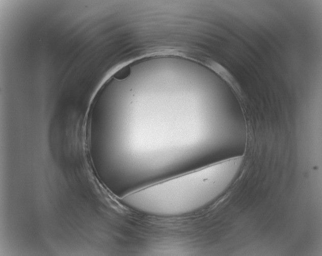 X0000063441052200601200923