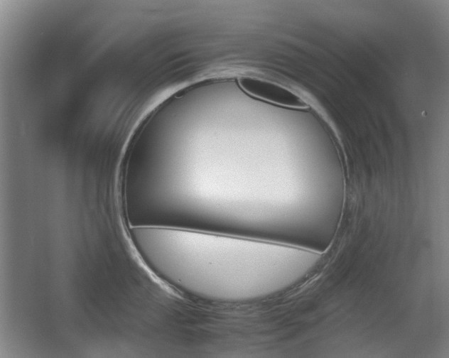 X0000063441053200601200923