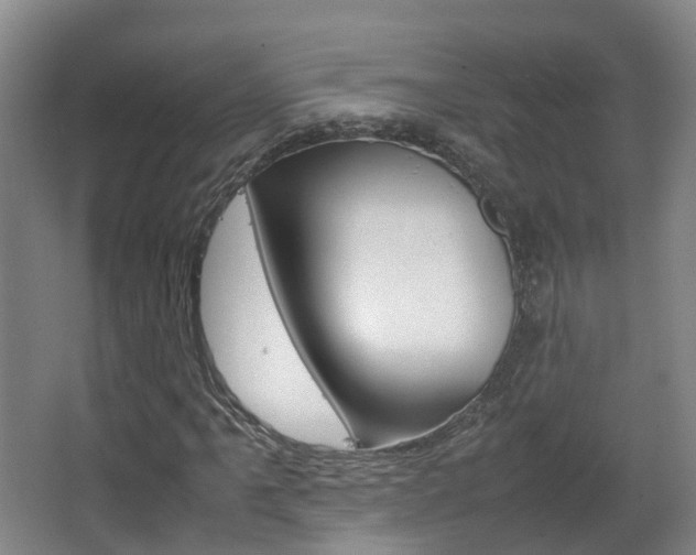 X0000063441061200601200922