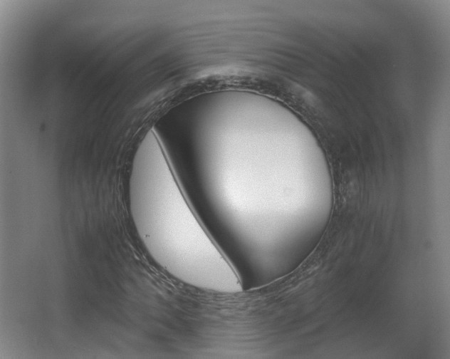 X0000063441062200601200922