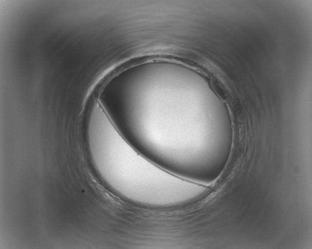 X0000063441069200601200922