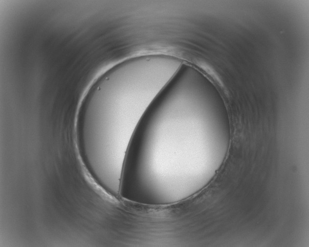X0000063441080200601200922