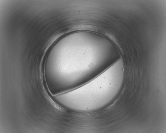 X0000063441082200601200922