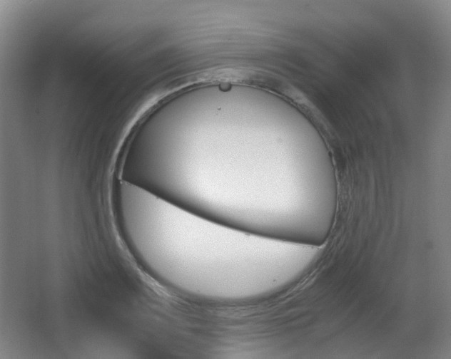 X0000063441083200601200922