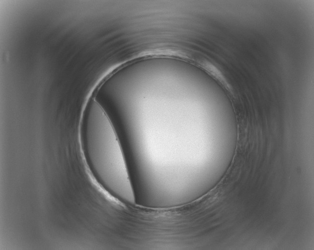 X0000063441084200601200922