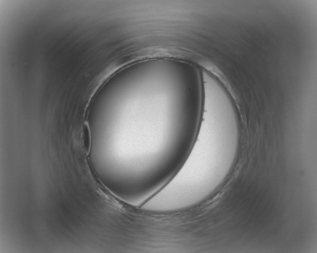 X0000063441089200601200922