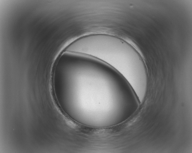 X0000063441093200601200922