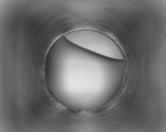 X0000063441097200601200922