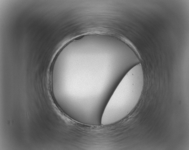 X0000063441099200601200922