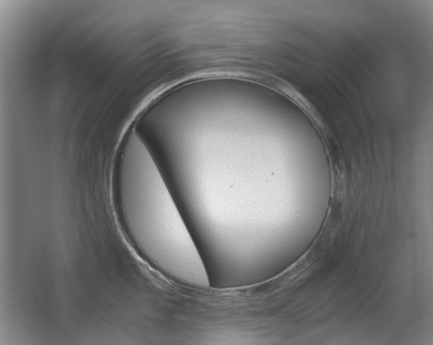 X0000063441101200601200922