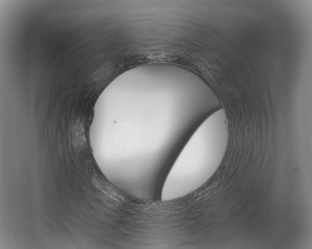 X0000063441106200601200921