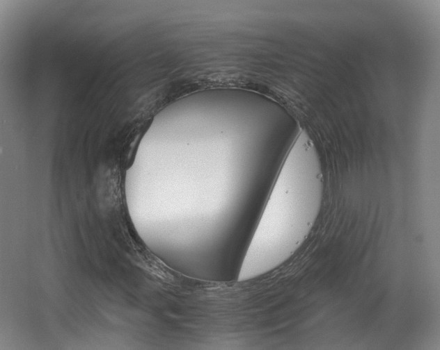 X0000063441107200601200921
