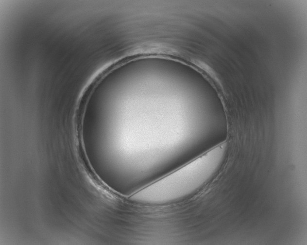 X0000063441120200601200921