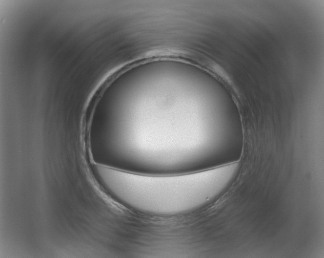 X0000063441124200601200921