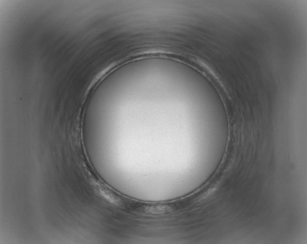 X0000063441129200601200921