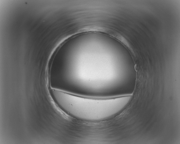 X0000063441132200601200921