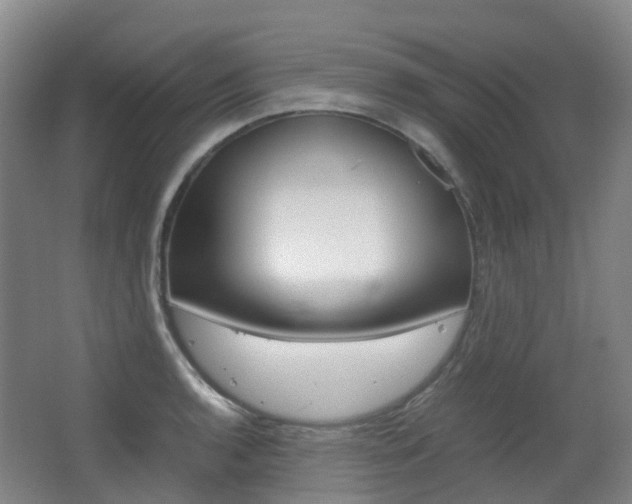 X0000063441136200601200921