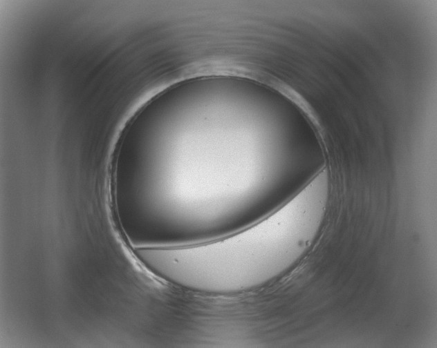 X0000063441144200601200922