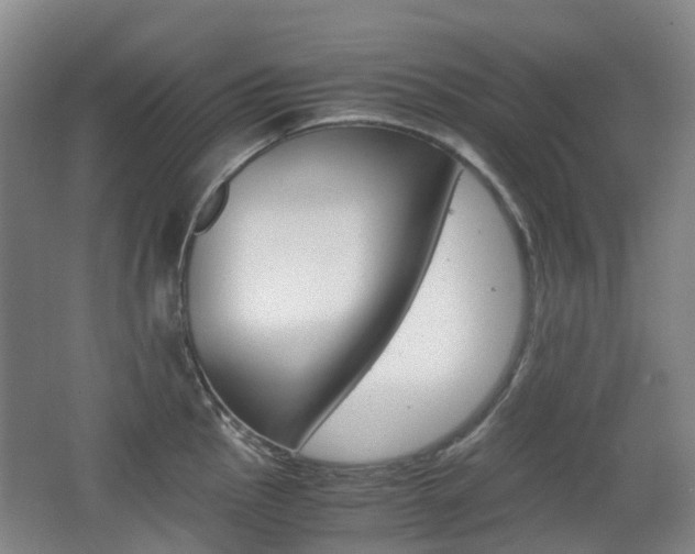 X0000063441145200601200922