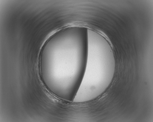 X0000063441146200601200922