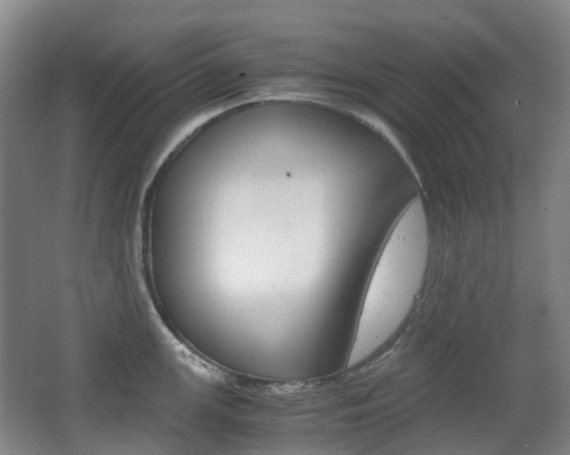 X0000063441147200601200922