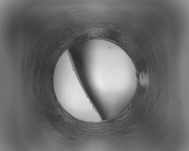 X0000063441155200601200921
