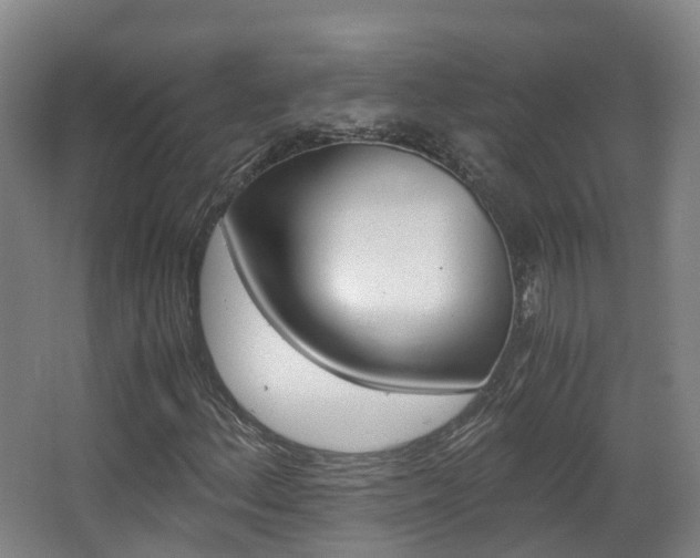 X0000063441156200601200921