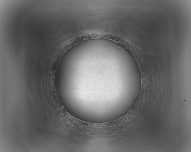 X0000063441157200601200921