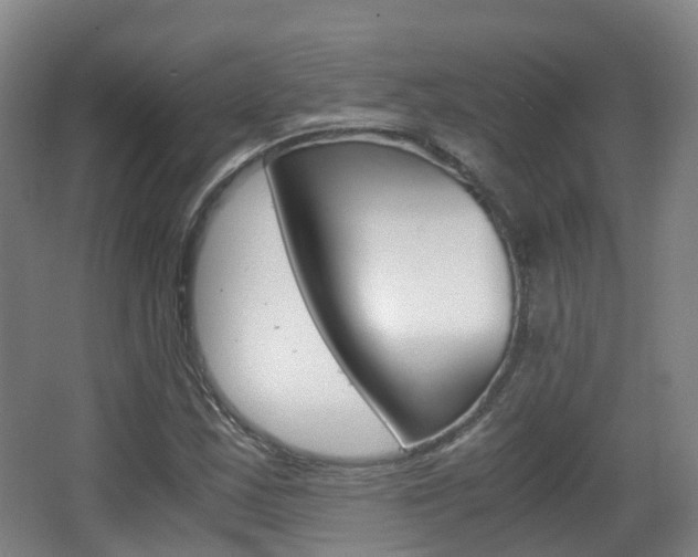 X0000063441163200601200921