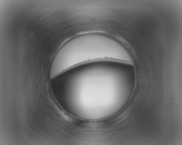 X0000063441177200601200921