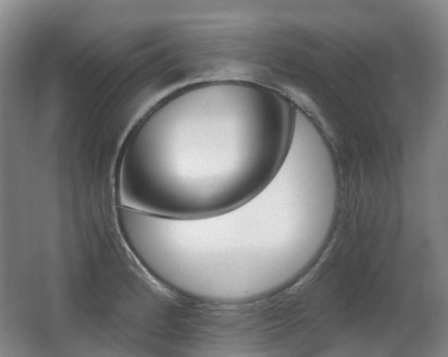 X0000063441184200601200920