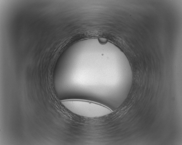 X0000063441201200601200919