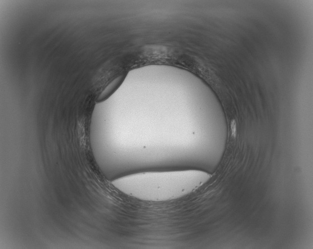 X0000063441203200601200919