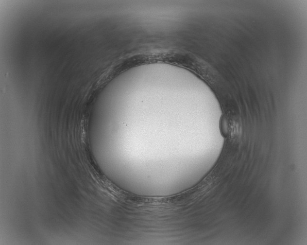 X0000063441204200601200919