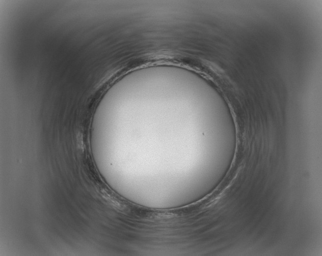X0000063441209200601200919