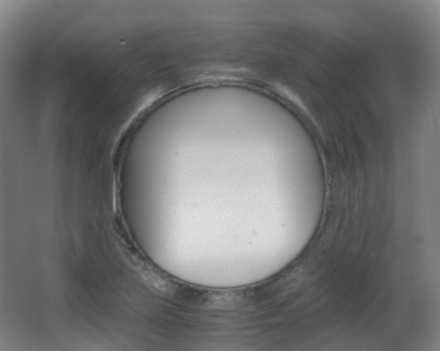 X0000063441219200601200920