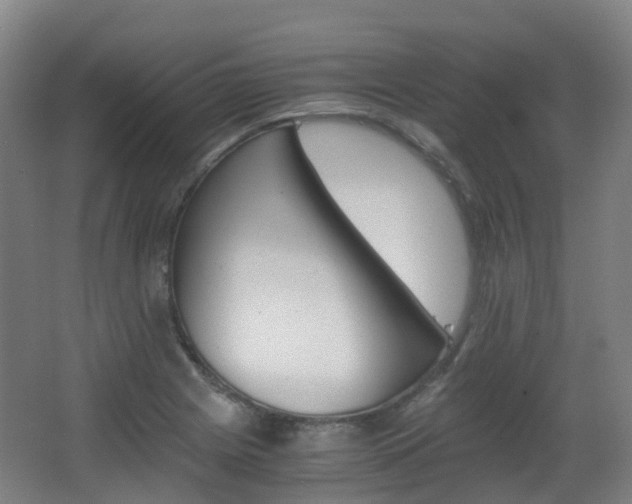 X0000063441225200601200920