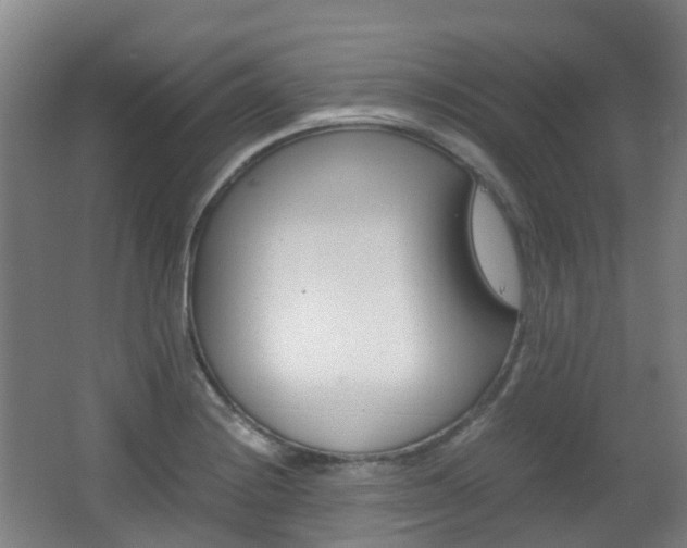 X0000063441228200601200920