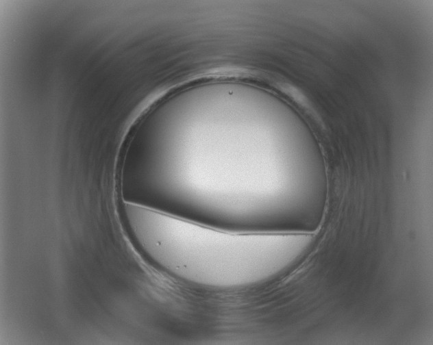 X0000063441229200601200920