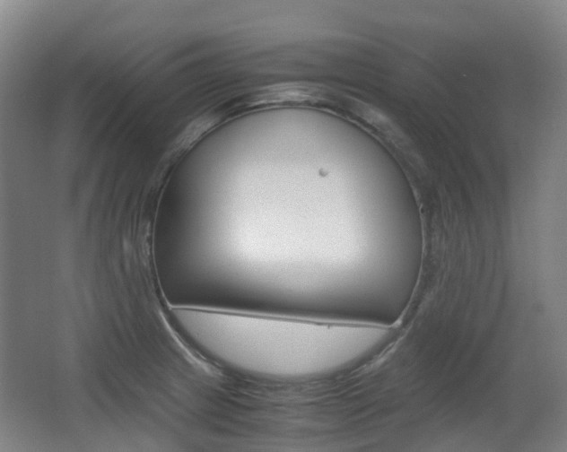 X0000063441233200601200920