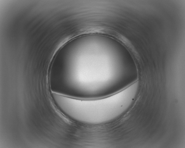 X0000063441234200601200920