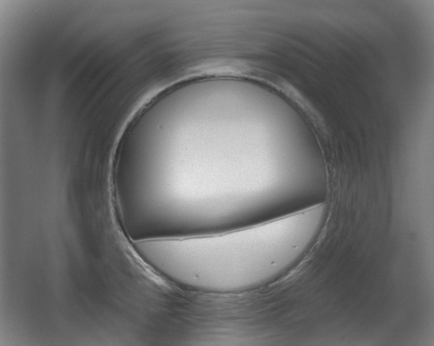 X0000063441240200601200920