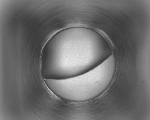 X0000063441244200601200920