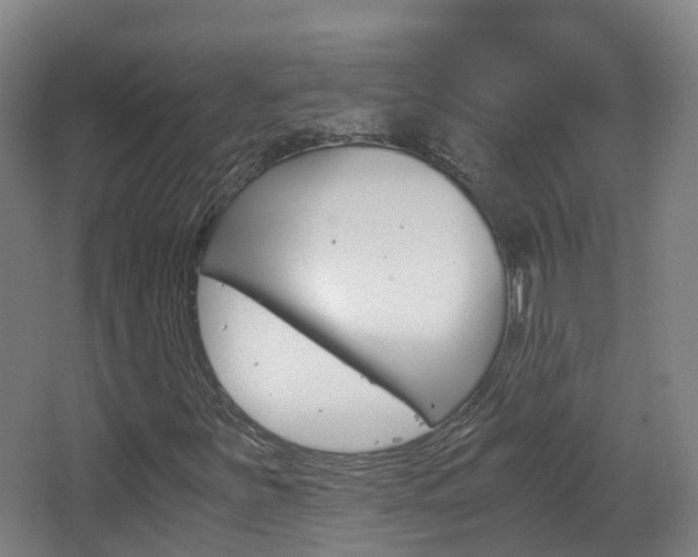 X0000063441251200601200919